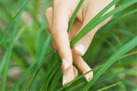 Our vision image - hand running through blades of grass
